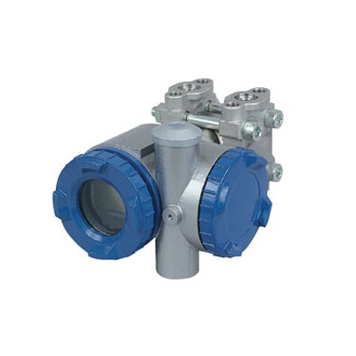 STX 2100 Differential Pressure (Flow) Transmitter