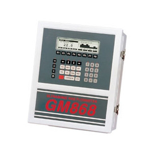 DigitalFlow™ GM868 General Purpose Gas Ultrasonic Flow Meter
