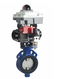  Rubber Lined Butterfly Valve