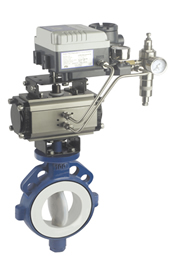 Teflon Lined Butterfly Valve