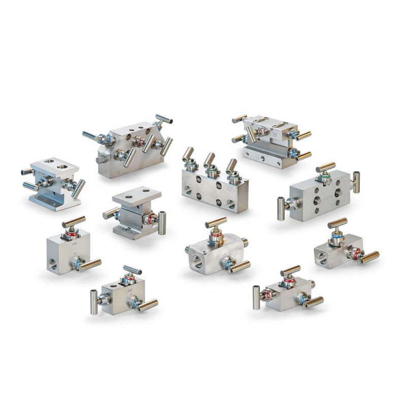 Manifold Valve