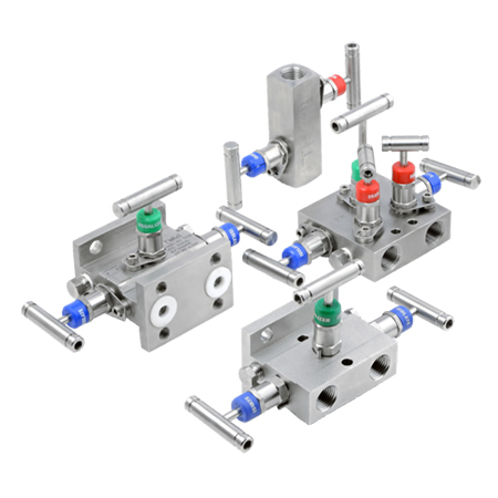 5 Way Valve Manifolds